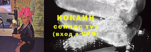 ECSTASY Вяземский