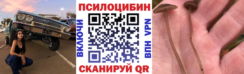 Галлюциногенные грибы MAGIC MUSHROOMS блэк спрут ТОР Серпухов